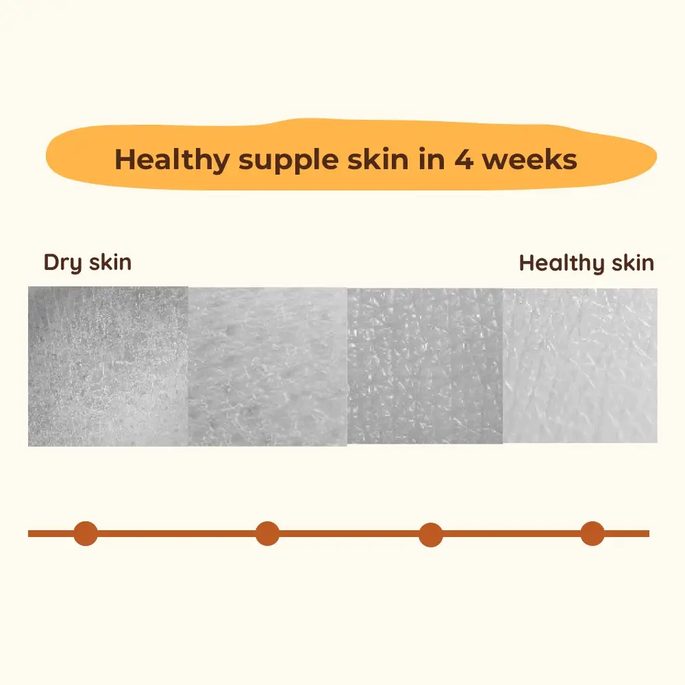 Wood-Pressed Sweet Almond Oil For Babies | Organic & 100% Pure | Healthy & Glowy Baby Skin  | 0+ m - Image 5
